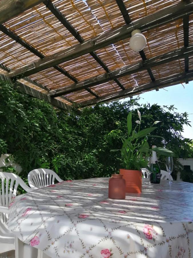Apartmani Zmiric Primošten Dış mekan fotoğraf