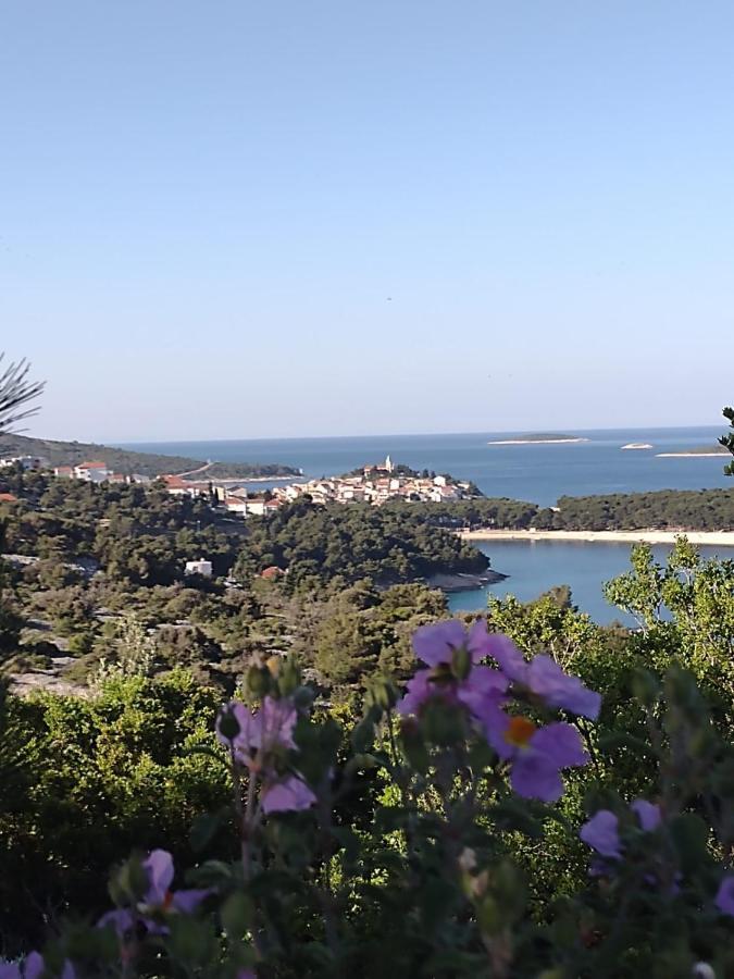 Apartmani Zmiric Primošten Dış mekan fotoğraf
