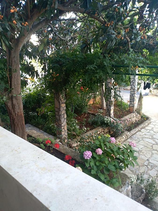 Apartmani Zmiric Primošten Dış mekan fotoğraf